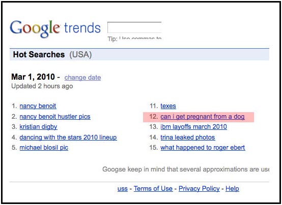 funny google searches suggestions. This Google Trends keyword